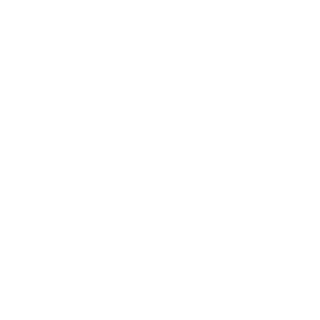 软通动力信息技术（集团）股份有限公司