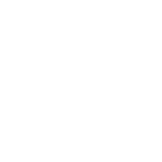 上海微创软件股份有限公司